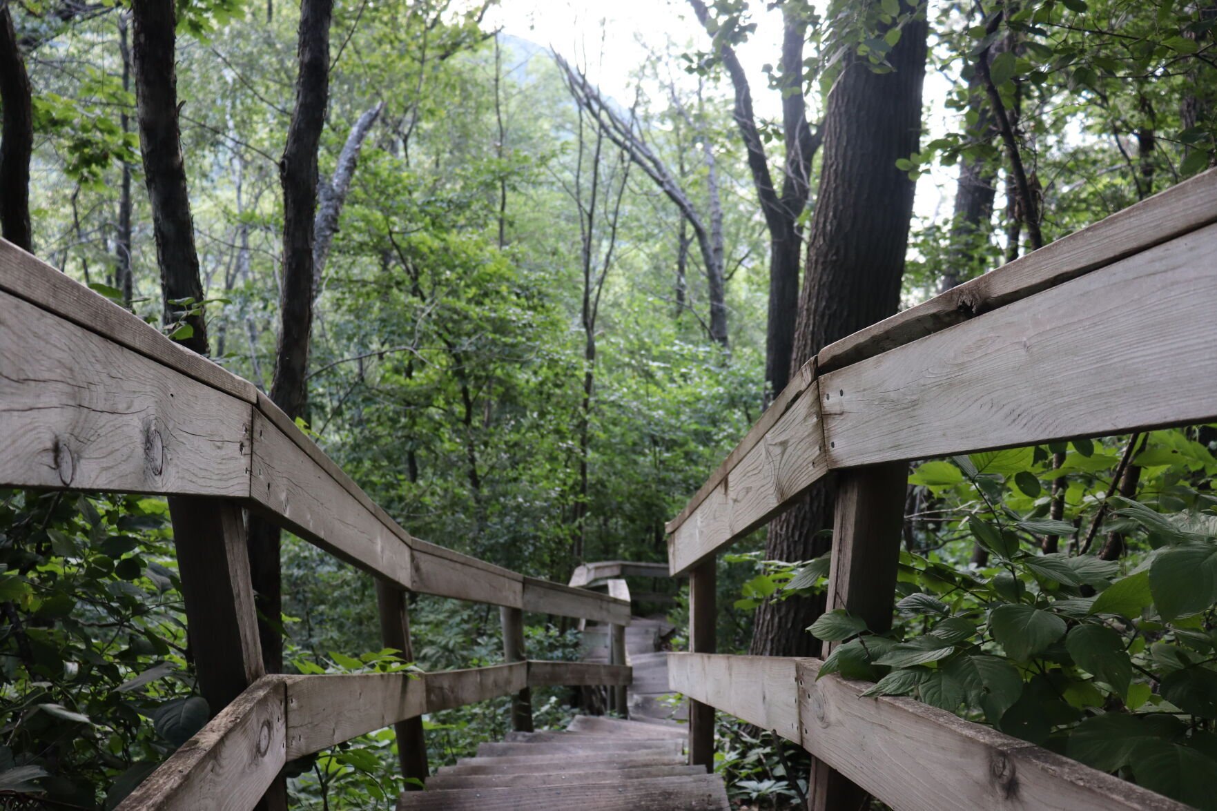 John A. Latsch State Park